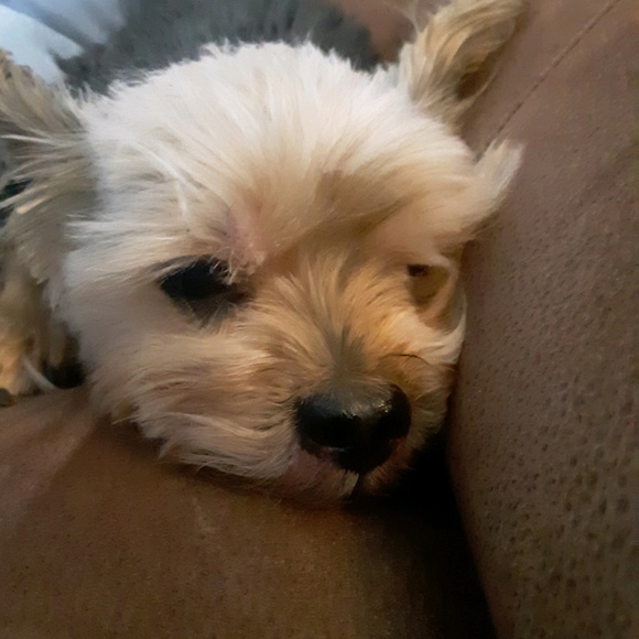 Meet your Posher, Christine - Picture 1 of 1